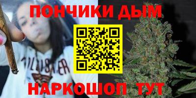 сатива Ярославль