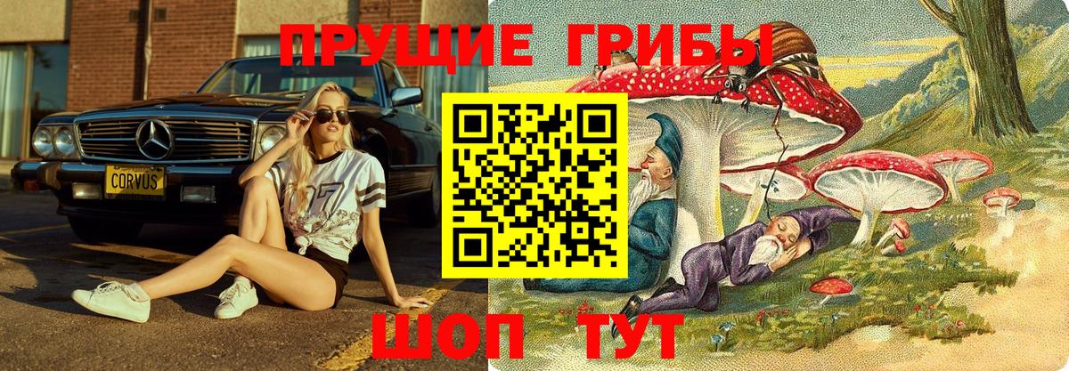Нововоронеж  Галлюциногенные грибы Psilocybine cubensis  Вход с VPN 