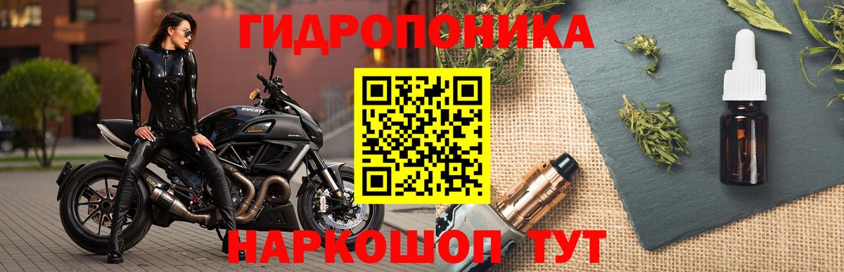 Бошки Шишки марихуана Нововоронеж